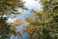 001003_0514_0027_nsls.jpg