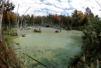 001003_0514_0012_nsls.jpg