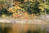 001003_0514_0007_nsls.jpg