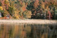 001003_0514_0006_nsls.jpg