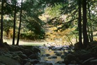 001003_0514_0005_nsls.jpg