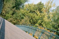 001002_0512_0010_nsls.jpg
