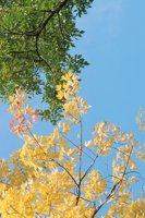 001002_0512_0004_nsls.jpg