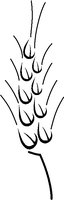 WHEAT2.WMF