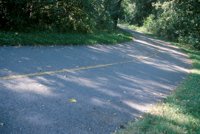 000920_0502_0075_nsls.jpg