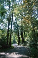 000920_0502_0070_nsls.jpg