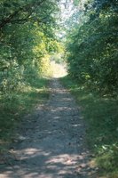 000920_0502_0020_nsls.jpg