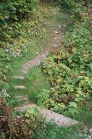 000920_0502_0019_nsls.jpg