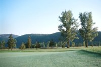 000919_0501_0036_nsls.jpg