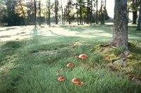 000919_0501_0035_nsls.jpg