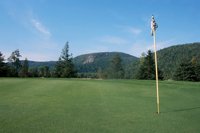 000919_0501_0034_nsls.jpg