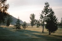 000919_0501_0029_nsls.jpg