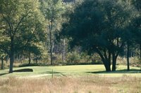 000919_0501_0026_nsls.jpg