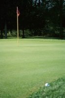 000919_0501_0012_nsls.jpg