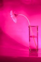 000918_0522_0003_lsls.jpg