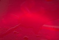 000913_0518_0030_lsls.jpg
