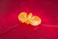 000913_0518_0029_lsls.jpg
