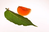 000913_0518_0004_lsls.jpg