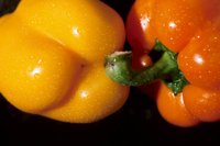 000912_0496_0077_nsls.jpg