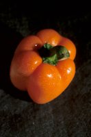 000912_0496_0073_nsls.jpg