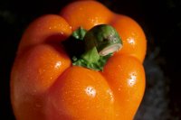 000912_0496_0069_nsls.jpg