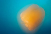 000912_0496_0066_nsls.jpg