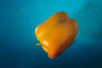000912_0496_0065_nsls.jpg