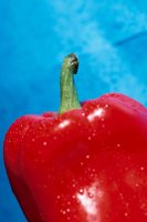 000912_0496_0063_nsls.jpg