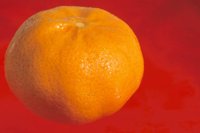 000912_0496_0035_nsls.jpg