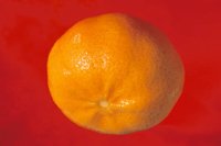 000912_0496_0034_nsls.jpg