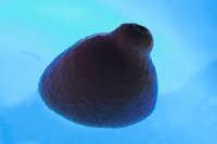 000912_0496_0028_nsls.jpg