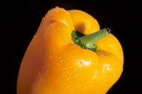 000912_0496_0024_nsls.jpg