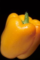 000912_0496_0023_nsls.jpg