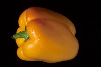 000912_0496_0022_nsls.jpg