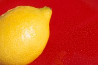 000912_0496_0020_nsls.jpg