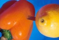 000912_0496_0008_nsls.jpg