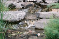 000909_0493_0059_nsls.jpg