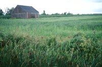 000909_0493_0052_nsls.jpg