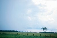 000909_0493_0048_nsls.jpg