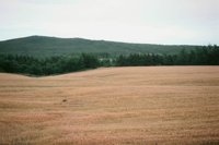 000909_0493_0047_nsls.jpg
