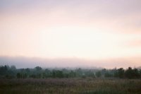 000909_0493_0044_nsls.jpg