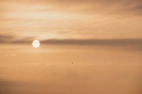000909_0493_0042_nsls.jpg