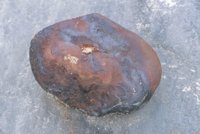 000909_0493_0036_nsls.jpg