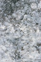 000909_0492_0053_nsls.jpg