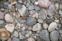 000909_0492_0049_nsls.jpg