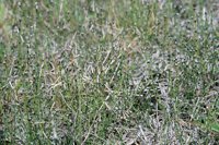 000909_0492_0045_nsls.jpg
