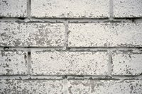 000909_0492_0026_nsls.jpg