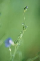 000909_0492_0020_nsls.jpg