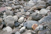 000909_0492_0012_nsls.jpg