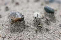 000909_0492_0009_nsls.jpg